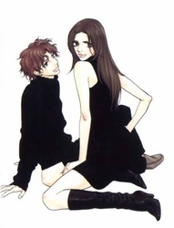 Kimi wa Pet