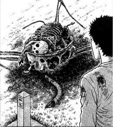 Gyo