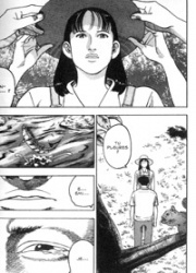 Under the Same Moon (c) Sakka