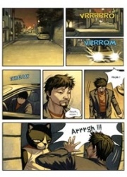 Z le chat