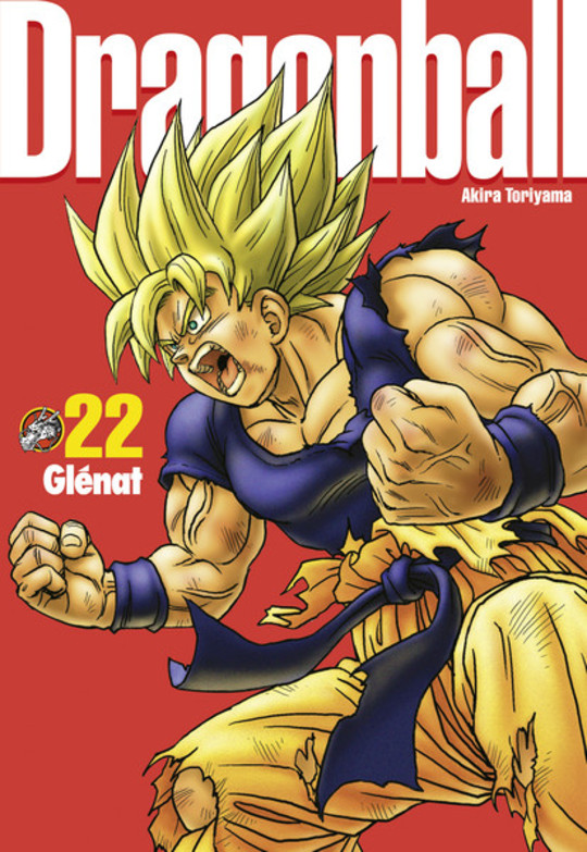 Dragon Ball Perfect Edition T.22