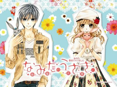 Namida Usagi
