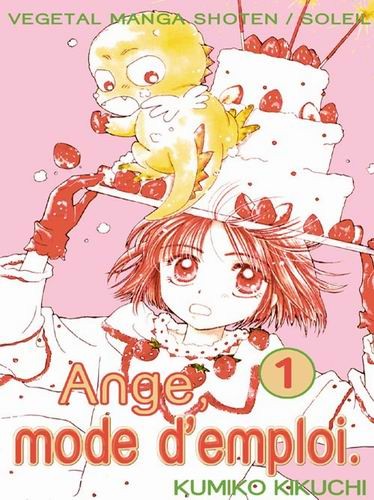 Ange, mode d'emploi