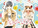 Namida Usagi T.5